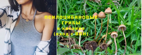 mix Алексеевка