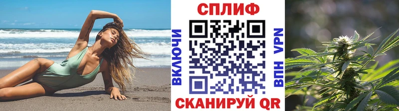 Конопля AK-47  закладка  ссылка на мегу ссылка  Кингисепп 
